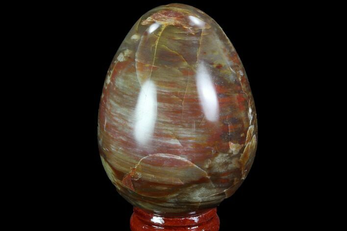 Colorful Petrified Wood Egg #98687